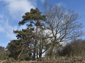 2018-02-25-toulky-u-letovic